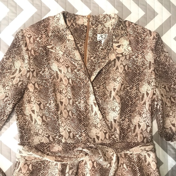 Clues collection New York Paris animal print dress - Picture 2 of 14